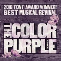 THE COLOR PURPLE