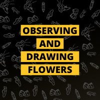Masterclass: Observing and Drawing Flowers