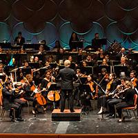 Orchestra