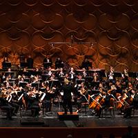 Orchestra