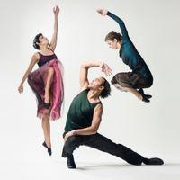 Malpaso Dance Company